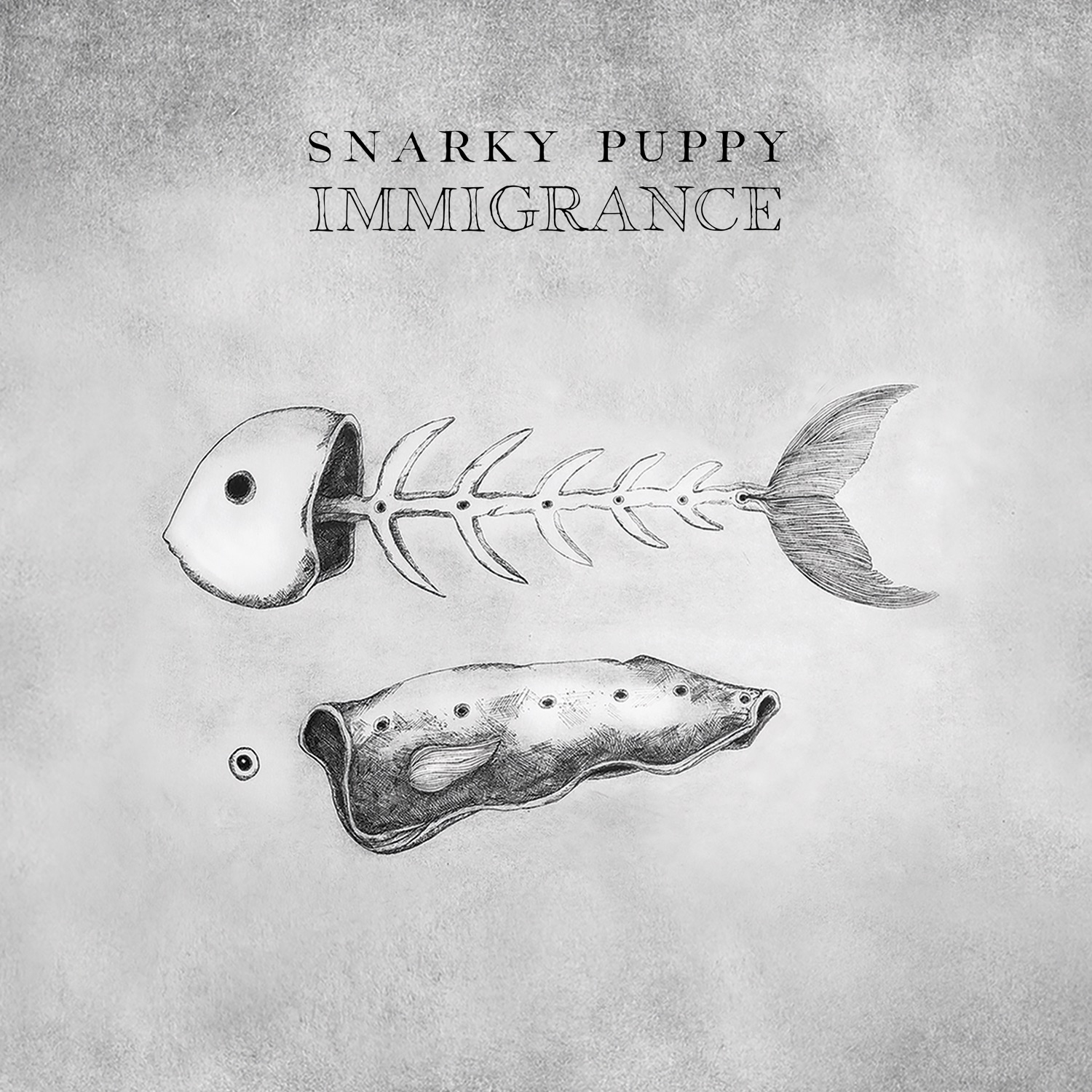 Snarky Puppy Music